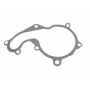 Помпа води Ford C-Max I/Focus I/II/Mondeo/Transit/Tourneo Connect 1.8DI/TDCi/TDDi 99- (R/B) (6 лоп.)