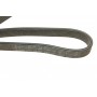 Ремінь генератора Volvo C70/S40/S60/S80/V40/V70/XC70/XC90 95-14 (6PK1841)