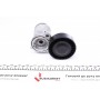 Натяжник ременя генератора Ford Kuga 2.5/Volvo C70 06- (F-556595.01)