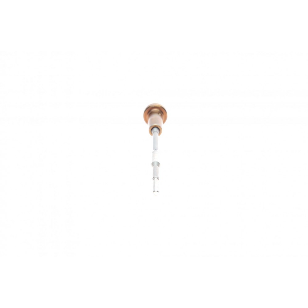 Шток форсунки паливної Peugeot 206/307 1.4HDi 02-07