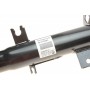 Амортизатор (передній) Citroen C3 II 1.1-1.6D 09- (R)