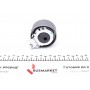 Ролик ГРМ Renault Kangoo/Logan II 1.2 16V 02- (натяжний) (60x29)