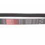 Ремінь генератора Audi A3/A4/Seat Leon/VW Caddy/Passat/Tiguan 1.6-2.0TDI