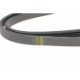 Ремінь генератора Suzuki Grand Vitara 2.5-2.7 98-03/ Honda Stream 1.7 01- / Nissan 300 ZX 3.0 84-90