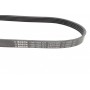 Ремінь генератора Ford Focus 1.4/1.6i 03- (6PK1059+5PK868) К-кт