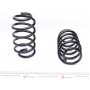 Комплект пружин (Pro-Kit) VW Passat 05-14 (4 шт.)
