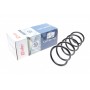 Пружина (задня) Dacia Duster 1.2TCe/1.5dCi/1.6 16V 4x4 10-18/Renault Duster 1.5dCi/1.6 16V 4x4 11-