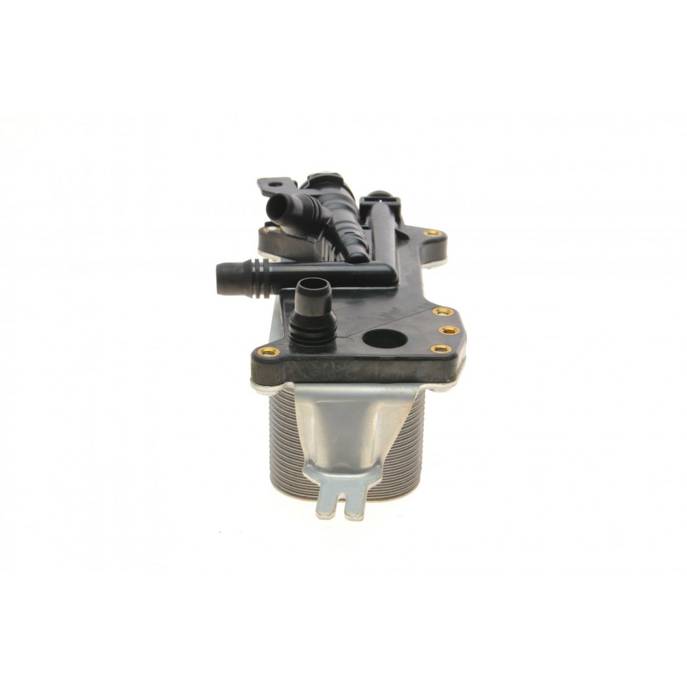 Радіатор масляний BMW 5 (F10/F11/F07)/6 (F06/F12/F13)/7 (F01/F02/F03) 2.5-4.4i 09-18 (теплообмінник)
