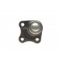 Опора кульова (передня/знизу/L) Audi A3/Seat Toledo/Leon/Skoda Octavia/VW Golf IV 96-10