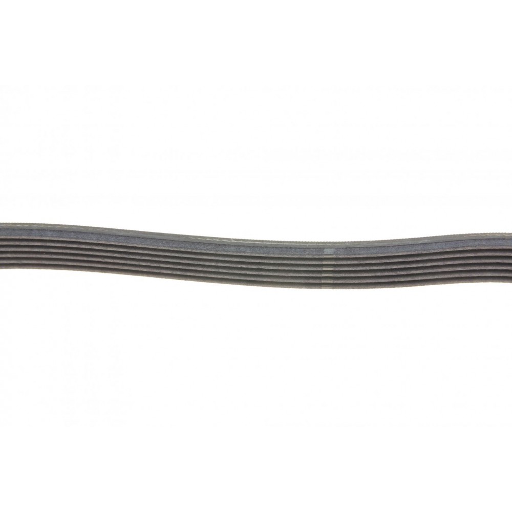 Ремінь генератора Ford Focus 1.4/1.6i 03-/Volvo C30/S40/V50 1.6 05-12 (6PK1059)