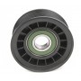 Ролик генератора Ford Focus/Fiesta/C-Max 1.0-1.6 04- (паразитний) (69x28.8)