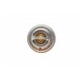 Термостат VW LT 28-35/40-55/T4 2.4 D 90-06/Passat 2.3 VR5 00-05 (80°C)