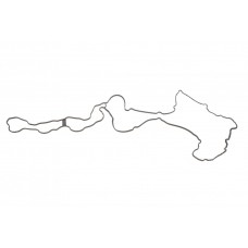 Прокладка кришки клапанів BMW 5 (F10)/7 (F01/F02/F03/F04)/X5 (E70)/X6 (E71/E72) 07- N63 B44