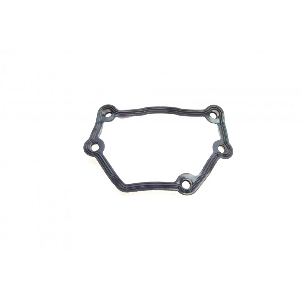 Прокладка кришки клапанів BMW 3 (E46/E90)/5 (E60) 1.8-2.0i 01- (к-кт), N42/N46