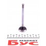 Клапан (випуск) Fiat Punto 1.6i/Tipo 1.4i 87-97 (31x8x109)