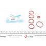 Комплект прокладок колектора впускного Fiat Bravo 1.2 16V 00-01