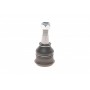 Опора кульова (передня/знизу) Toyota Yaris 99-05