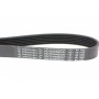 Ремінь генератора Citroen C3/C4/Peugeot 307 1.4-1.6HDi 02-