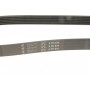Ремінь генератора Opel Movano 2.5D 98-00 (6PK870)