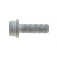 Болт кріплення скоби супорта (заднього) VW Golf IV 98-06 (M10x1.25x30)