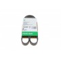Ремінь генератора Citroen C3/C4/Peugeot 307 1.4-1.6HDi 02-