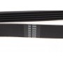 Ремінь генератора Mitsubishi Galant 2.0/2.4 96-04