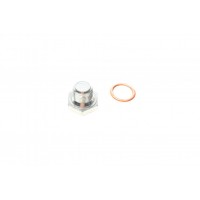 Болт зливу оливи + шайба Citroen Berlingo/Jumper/Jumpy/Peugeot Boxer/Expert/Partner 96- (M14x1.25)