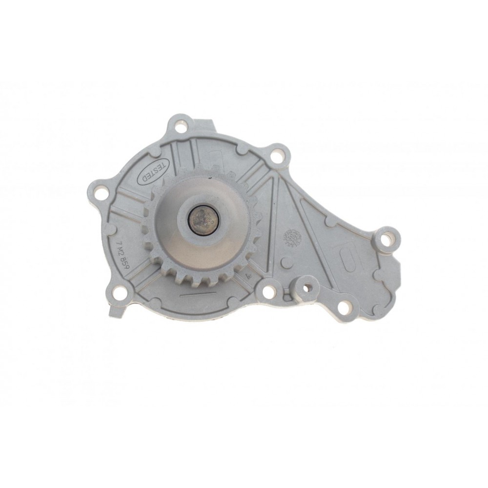 Помпа води Citroen C1/C2/C3/Nemo/Ford Fiesta/Peugeot 206/307 1.4HDI/TDCI 02- (21z) (B/B) (20 лоп.)