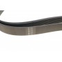 Ремінь генератора VW LT 2.5TDI -06/T4 2.5 91-03/Ford Connect 1.8 TDCi 02-07 (6PK1718)