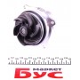 Комплект ГРМ + помпа Ford Transit Connect 1.8 16V 02-13 (25x129z)
