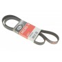 Ремінь генератора Toyota Hilux/Fourtuner 2.5D/3.0D 04-