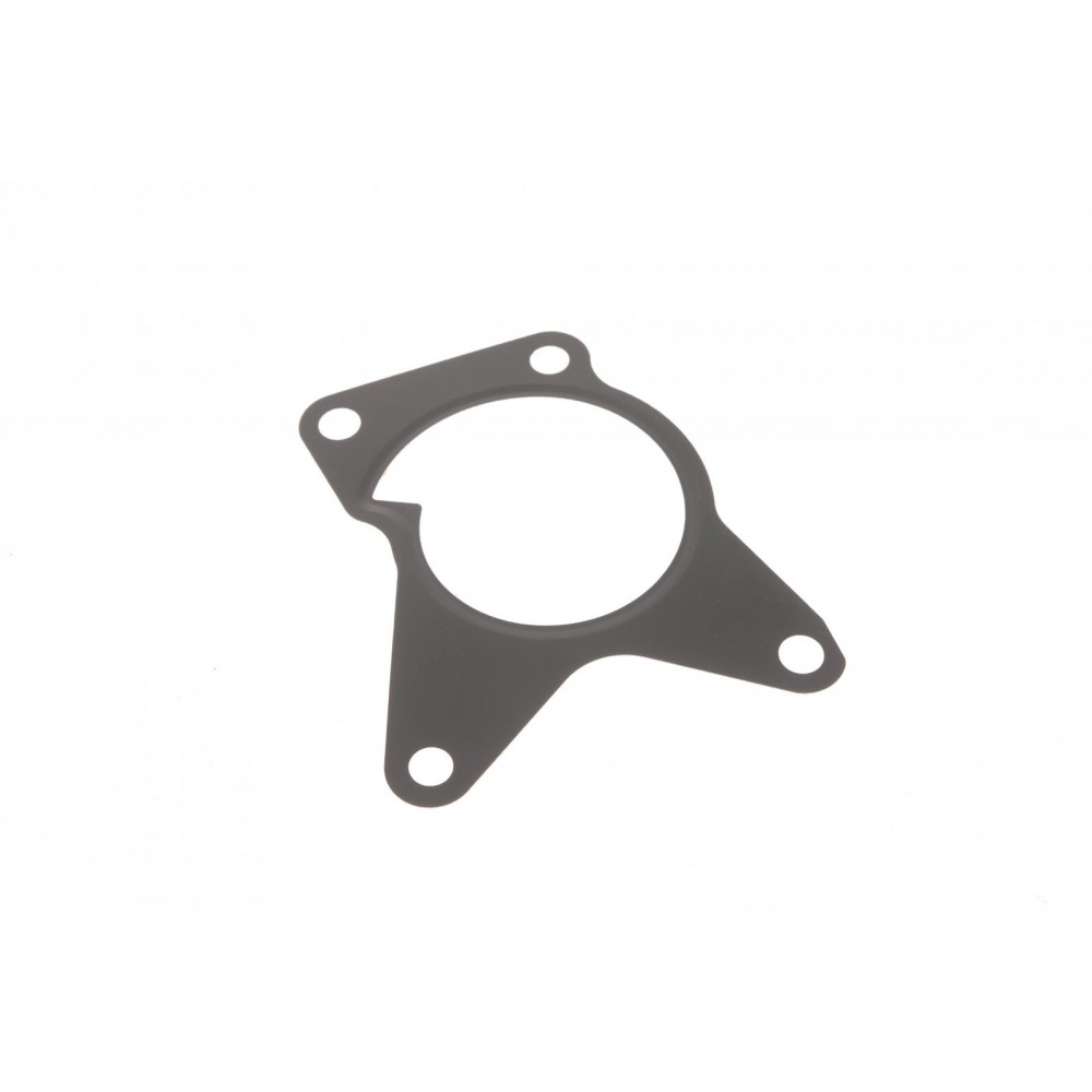 Прокладка помпи води Nissan Qashqai/X-Trail 2.0 07-14