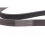 Ремінь генератора Opel Astra 1.7CDTI 04-10/ Subaru Tribeca 3.0-3.6 05-/ VW Passat 3.2 05-10