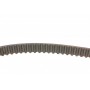 Ремінь ГРМ Ford Fiesta/Focus/Kuga/Mondeo/Mazda 2/Volvo S80/S60/V50/V70 1.4/1.6 95- (117x22)