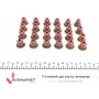 Сальник клапана (впуск/випуск) BMW X5 (E70)/X6 (E71/E72) 07-14 (к-кт) M57/N57