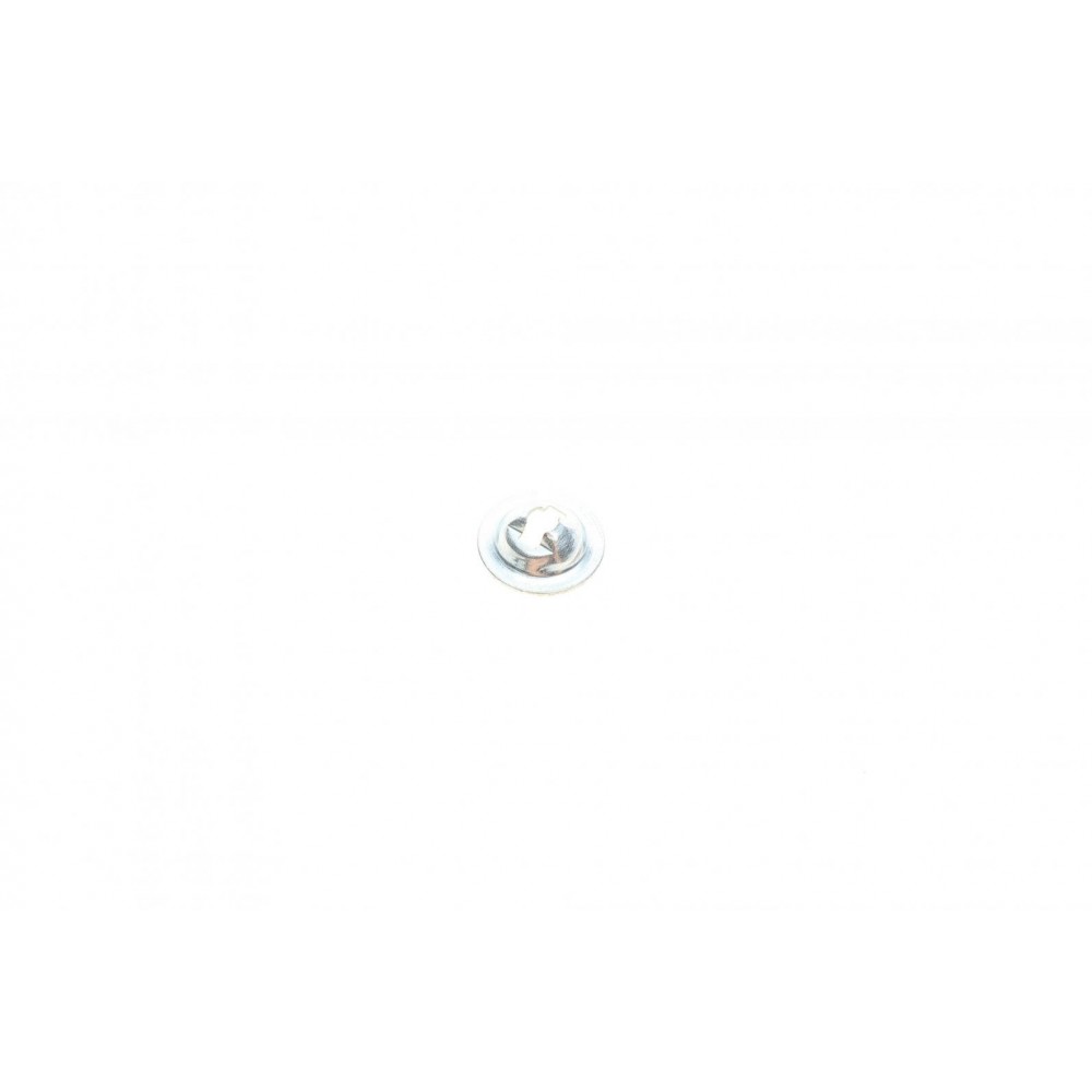 Комплект пружинок колодок ручника Renault Kangoo 97- (203x39)