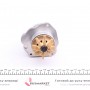 Помпа води Citroen C5/C6/C8/Peugeot 406/407/607/Renault Clio/Laguna 3.0 V6 01- (28z) (R/B) (8 лоп.)