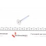 Клапан (випуск) Smart Cabrio/City-Coupe/Fortwo 0.8CDI 99- (25.2х6х91.2) (хромування)