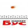 Автолампа WY5W 12V 5W W2.1x9.5d Standard (без цоколя, жовта) (1шт)