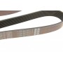 Ремінь генератора BMW 5 (F10/F11)/X3 (F25) 09-13 (N52/N53) (8PK1784)