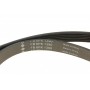Комплект ременя генератора Citroen Jumpy/Peugeot Expert 1.9D 98-06 (6PK1390)