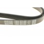 Ремінь генератора VW T4 2.0i 91-03/Opel Vectra A/B
