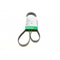 Ремінь генератора Ford C-Max/Focus/Kuga 1.5 14- (6PK1535)