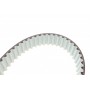 Комплект ГРМ Audi A3/A4/A6/Skoda Octavia/VW Golf V/Passat/Touran 2.0TDI 03- (30x141z)