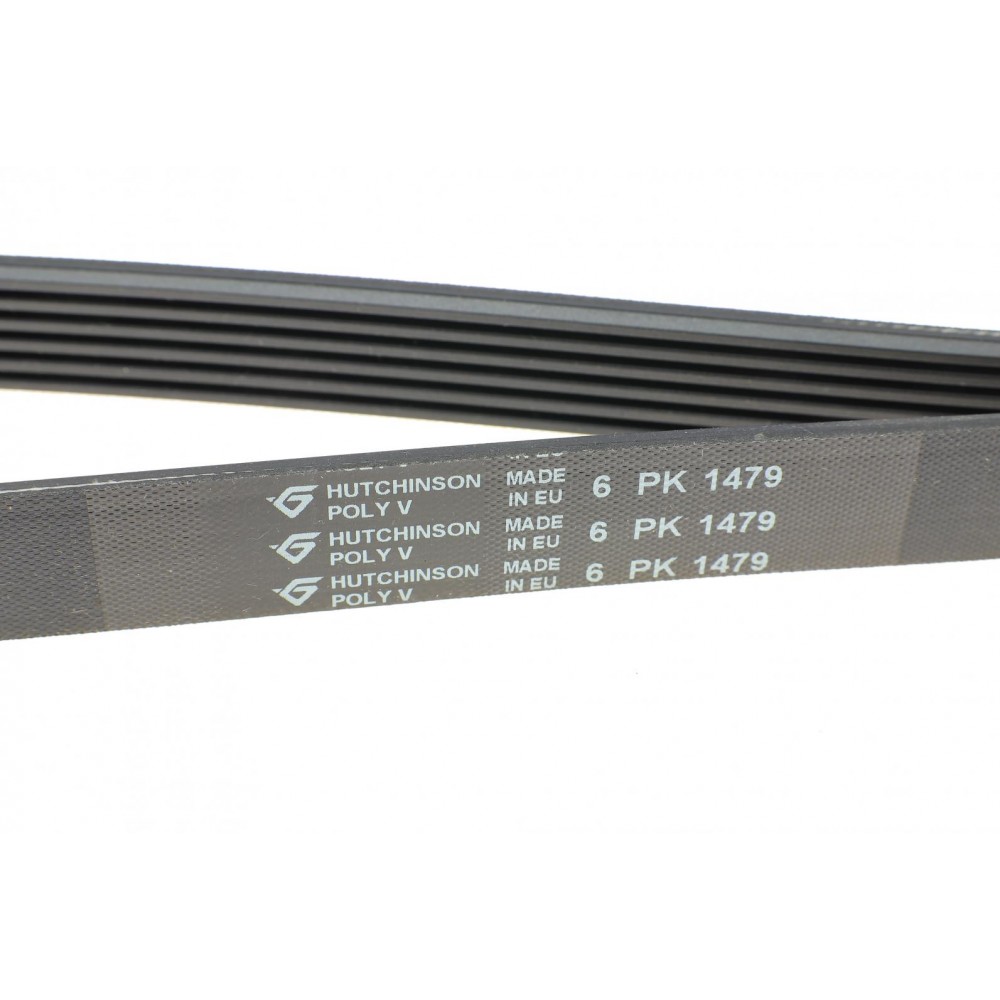 Ремінь генератора Peugeot 406 (6PK1479)