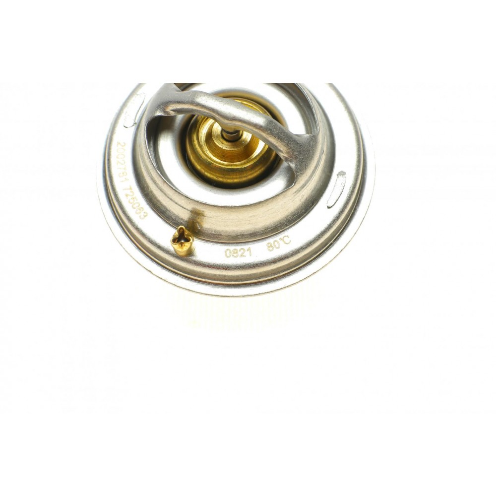 Термостат VW LT 28-35/44-55/T4/T5 2.4D/2.5TDi/2.8 VR6 78-09 (80°C)