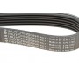 Ремінь генератора Citroen Berlingo 1.6HDI 06-/Fiat Ducato/Doblo 2.0D 10-/Scudo 1.6D 07- (6PK1705)