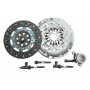 Комплект зчеплення Renault Megane/Scenic II 2.0 dCi 05-09 (d=250mm) (+вижимний)