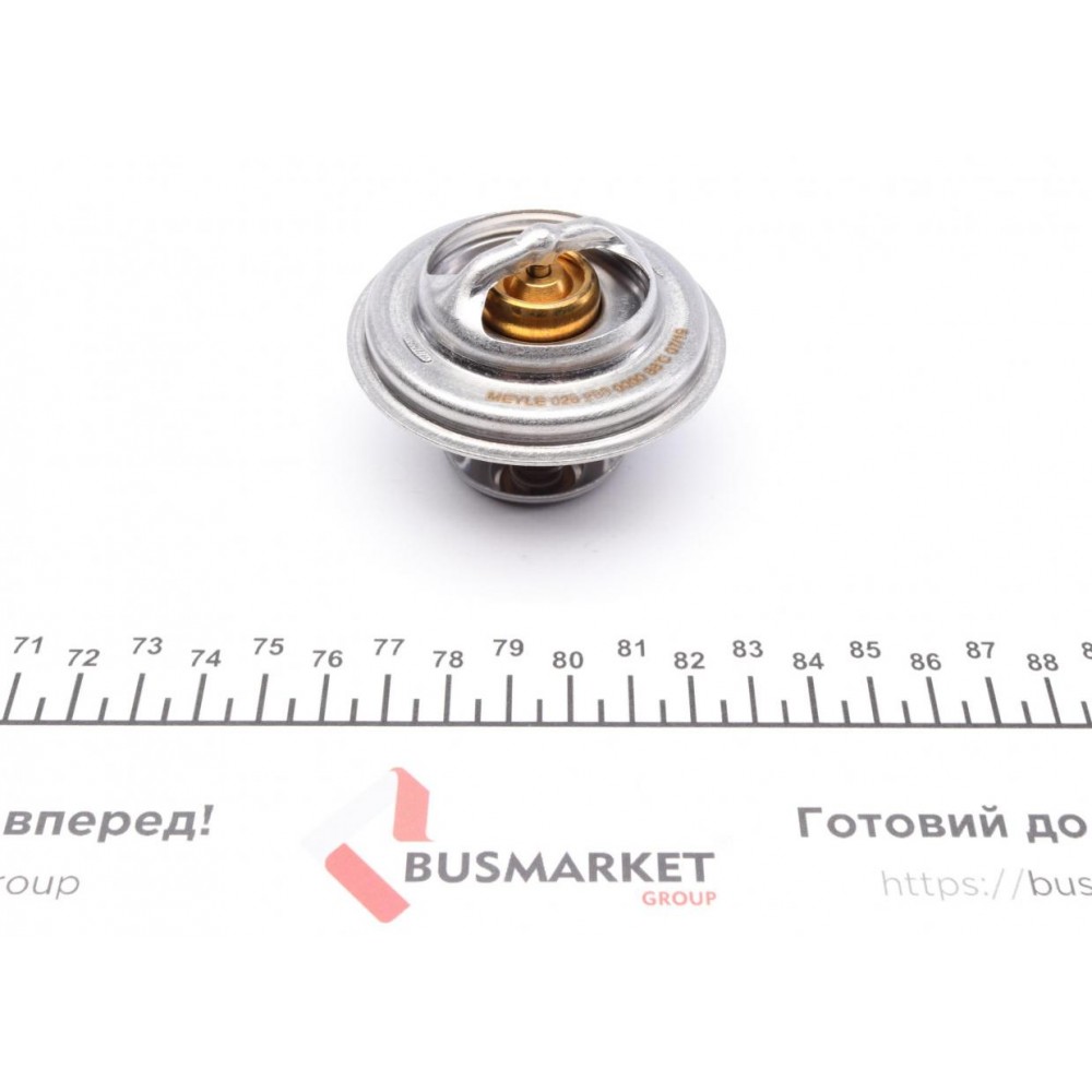 Термостат BMW 3 (E30/E36)/5 (E34) 1.6-2.8 88-99 (88°C)