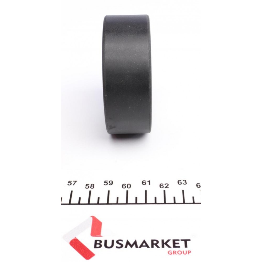 Ролик генератора Citroen Jumper/Peugeot Boxer 2.8 HDi 00- (паразитний) (70х25) (MPQ0025)